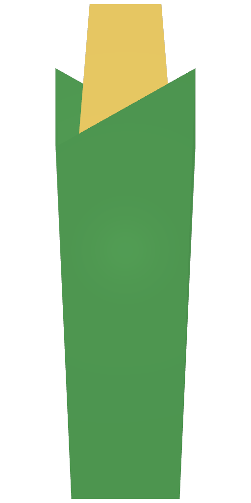 玉米