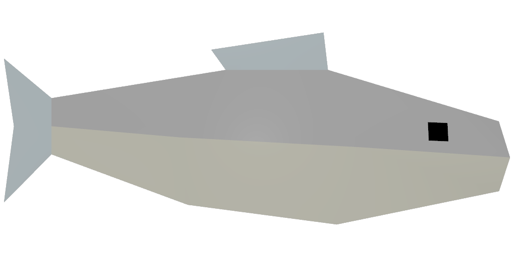 生鳟鱼