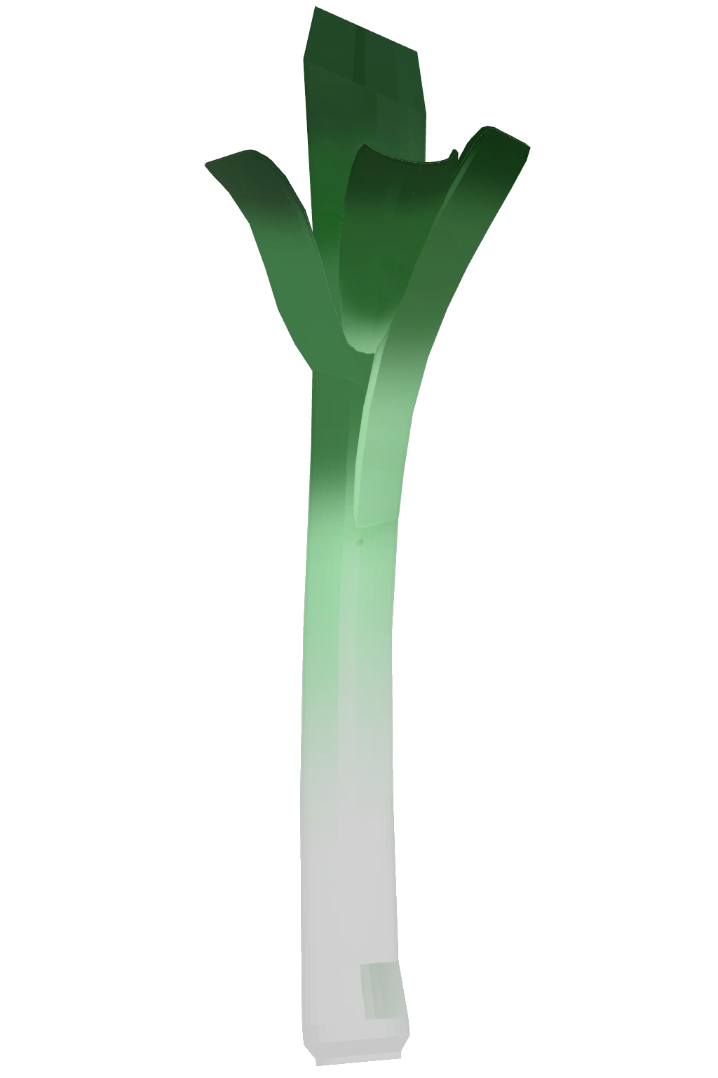 大葱